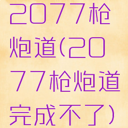 2077枪炮道(2077枪炮道完成不了)