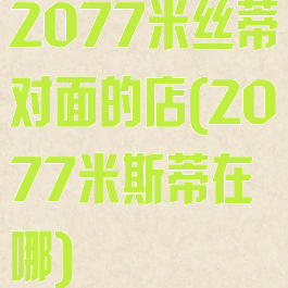 2077米丝蒂对面的店(2077米斯蒂在哪)