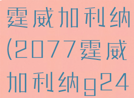 2077购买霆威加利纳(2077霆威加利纳g240)