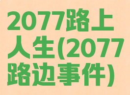 2077路上人生(2077路边事件)