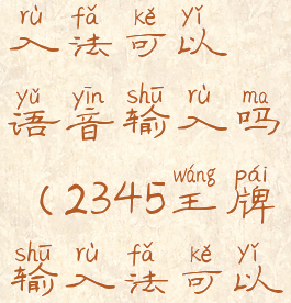 2345王牌输入法可以语音输入吗(2345王牌输入法可以卸载吗)