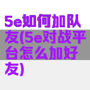 5e如何加队友(5e对战平台怎么加好友)