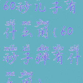 60秒儿子有什么用(60秒子弹有什么用)