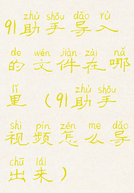 91助手导入的文件在哪里(91助手视频怎么导出来)
