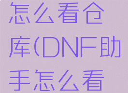 DNF助手怎么看仓库(DNF助手怎么看仓库物品)