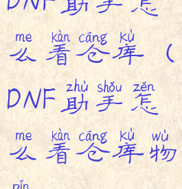 DNF助手怎么看仓库(DNF助手怎么看仓库物品)