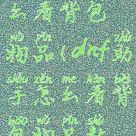 DNF助手怎么看背包物品(dnf助手怎么看背包物品数量)