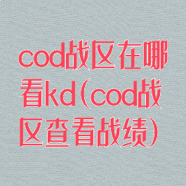 cod战区在哪看kd(cod战区查看战绩)