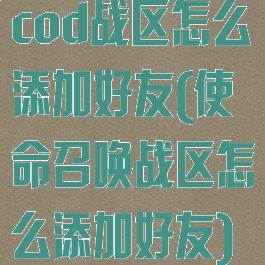 cod战区怎么添加好友(使命召唤战区怎么添加好友)