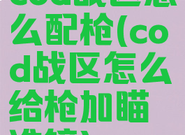 cod战区怎么配枪(cod战区怎么给枪加瞄准镜)