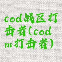 cod战区打击者(codm打击者)