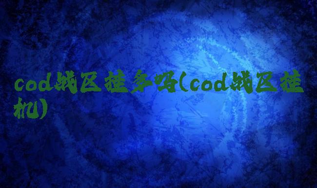 cod战区挂多吗(cod战区挂机)