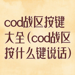 cod战区按键大全(cod战区按什么键说话)