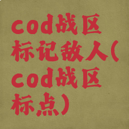 cod战区标记敌人(cod战区标点)