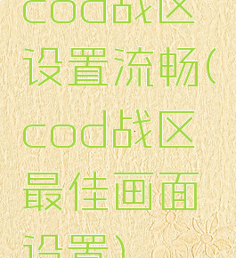 cod战区设置流畅(cod战区最佳画面设置)