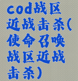 cod战区近战击杀(使命召唤战区近战击杀)