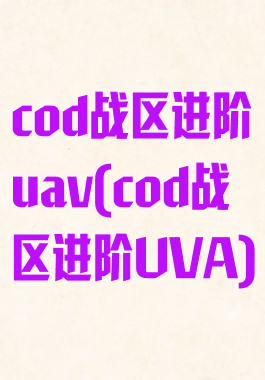 cod战区进阶uav(cod战区进阶UVA)