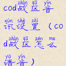 cod战区音讯设置(cod战区怎么语音)