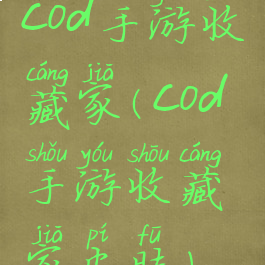 cod手游收藏家(cod手游收藏家皮肤)