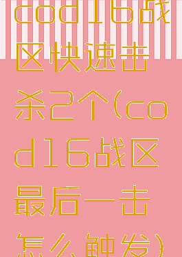 cod16战区快速击杀2个(cod16战区最后一击怎么触发)