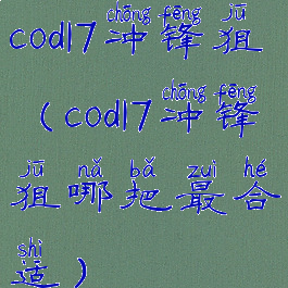 cod17冲锋狙(cod17冲锋狙哪把最合适)