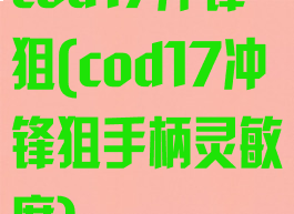 cod17冲锋狙(cod17冲锋狙手柄灵敏度)