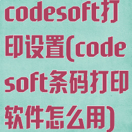 codesoft打印设置(codesoft条码打印软件怎么用)