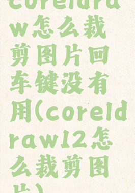 coreldraw怎么裁剪图片回车键没有用(coreldraw12怎么裁剪图片)