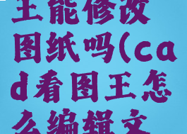 cad看图王能修改图纸吗(cad看图王怎么编辑文字修改)