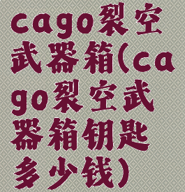 cago裂空武器箱(cago裂空武器箱钥匙多少钱)