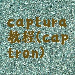 captura教程(captron)