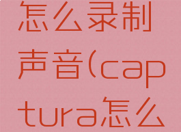 capture怎么录制声音(captura怎么录制声音)