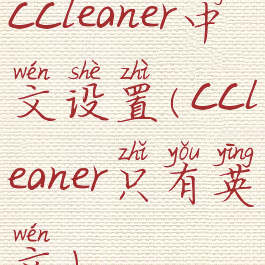 ccleaner中文设置(ccleaner只有英文)