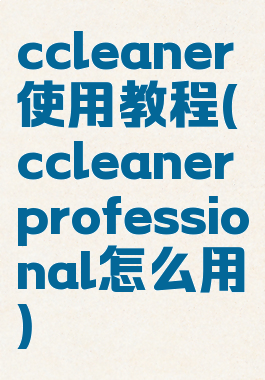 ccleaner使用教程(ccleanerprofessional怎么用)