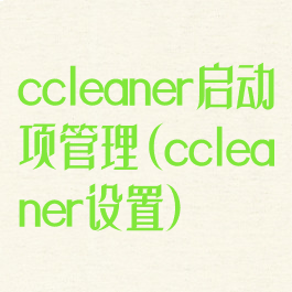 ccleaner启动项管理(ccleaner设置)