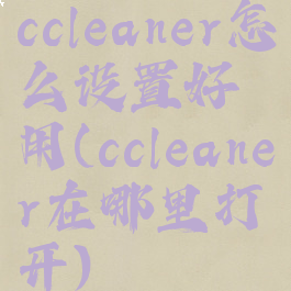 ccleaner怎么设置好用(ccleaner在哪里打开)