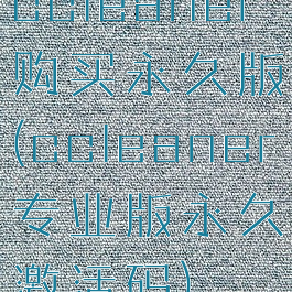 ccleaner购买永久版(ccleaner专业版永久激活码)