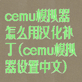 cemu模拟器怎么用汉化补丁(cemu模拟器设置中文)