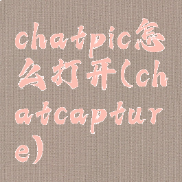 chatpic怎么打开(chatcapture)