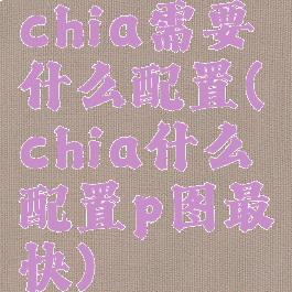 chia需要什么配置(chia什么配置p图最快)