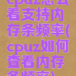 cpuz怎么看支持内存条频率(cpuz如何查看内存条频率)