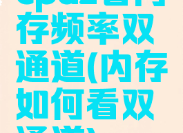 cpuz看内存频率双通道(内存如何看双通道)