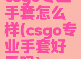 csgo专业手套怎么样(csgo专业手套好看吗)