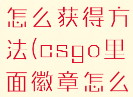 csgo徽章怎么获得方法(csgo里面徽章怎么获得)