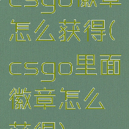 csgo徽章怎么获得(csgo里面徽章怎么获得)