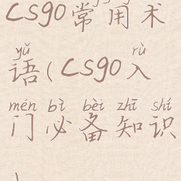 csgo常用术语(csgo入门必备知识)