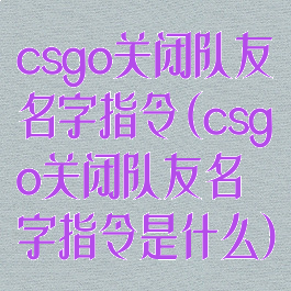 csgo关闭队友名字指令(csgo关闭队友名字指令是什么)