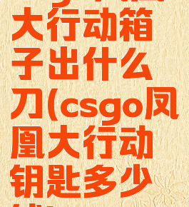 csgo凤凰大行动箱子出什么刀(csgo凤凰大行动钥匙多少钱)