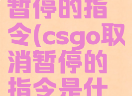 csgo取消暂停的指令(csgo取消暂停的指令是什么)