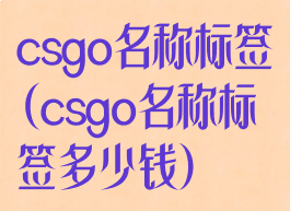 csgo名称标签(csgo名称标签多少钱)